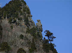 トカゲ岩